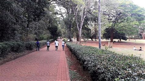 Nairobi Arboretum (Kenya): Top Tips Before You Go - TripAdvisor