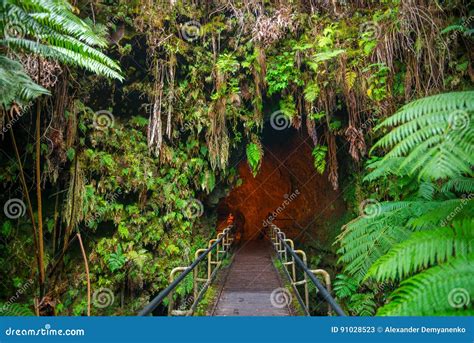 Thurston Lava Tube Panorama Royalty-Free Stock Image | CartoonDealer.com #27396100