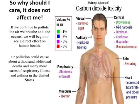 What are the disadvantages of carbon dioxide? | Science online