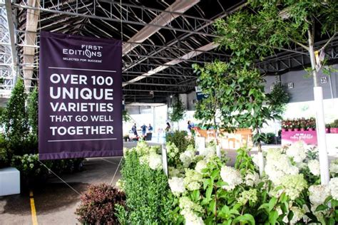 Bailey Nurseries 2019 Summer Expo Highlights New Varieties and Technology - Greenhouse Grower