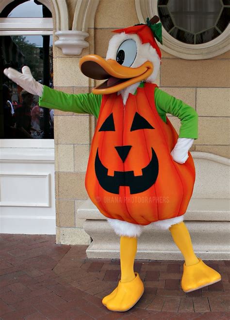 Disneyland // Donald Duck in his Halloween Time Pumpkin Costume | Halloween time at disneyland ...