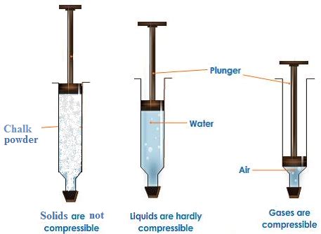 Design an activity to show that gases are compressible as compared to solids and liquids ...