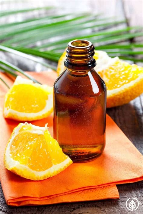 Orange Oil Uses for Pain & Anxiety Relief and More | All Natural Ideas