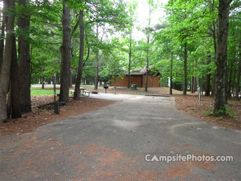 Piney Grove - Campsite Photos, Camping Info & Reservations