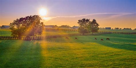 10 AMAZING Stops on the Kentucky Bourbon Trail You Can't Miss