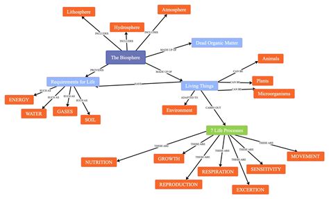 4 Kinds Of Concept Map - Map