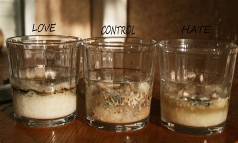 Further | Masaru Emoto Rice Experiment (RESULTS)