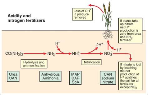 Fertilizers and Soil Acidity | Mosaic Crop Nutrition