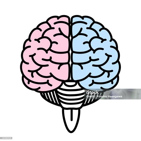 Brain Line Art Vector Illustration Stock Illustration - Download Image ...