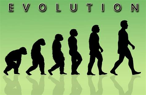 Proof of Evolution - 5 Undeniable Validation of Transformation of Life