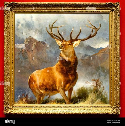 The Monarch of the Glen painting by Sir Edwin Landseer Stock Photo - Alamy