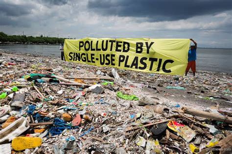 The impact of plastic waste on the environment