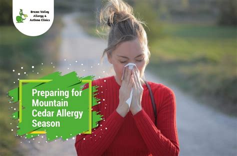 Mountain Cedar Allergy: Ways to Prepare for this Season