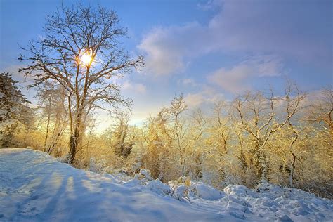 Snowy morning Photograph by Giovanni Allievi - Fine Art America