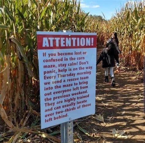 If you become lost or confused in the corn maze, stay calm! Don't id ...