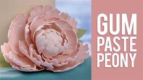 How to Make Gum Paste Peony Flowers - YouTube