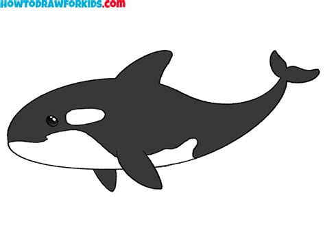 How to Draw a Killer Whale - Easy Drawing Tutorial For Kids