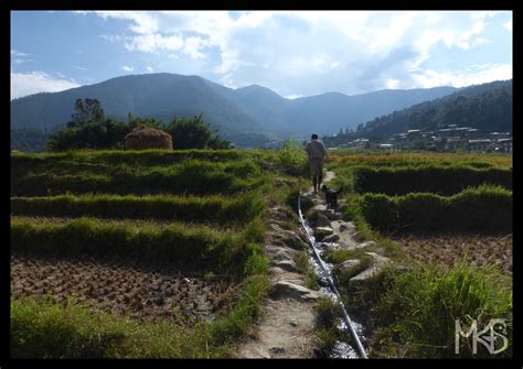 Bhutan - Dzongkha - Traveling Rockhopper