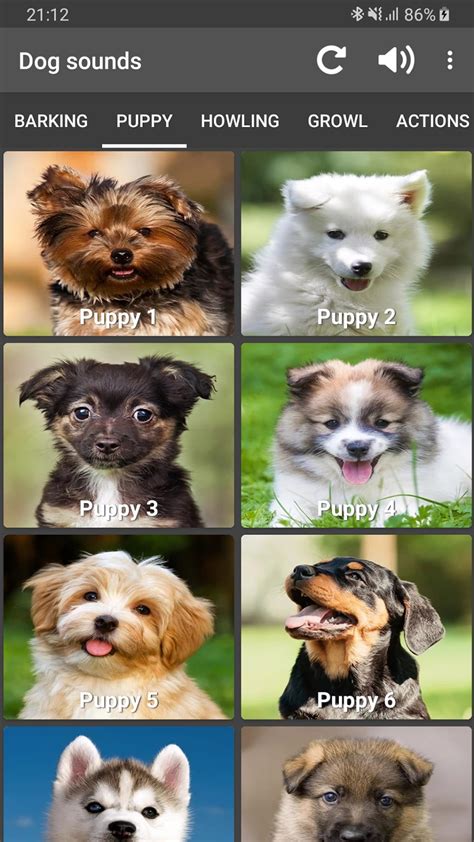 Dog Sounds for Android - Download