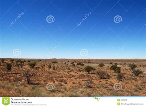 Kalahari Desert Landscape stock photo. Image of outdoors - 6598698