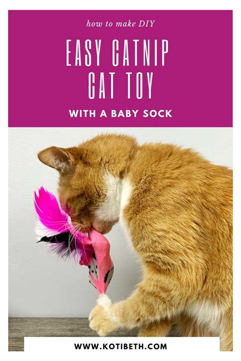 Homemade Catnip Toy - Easy DIY Toy for Cats - Koti Beth