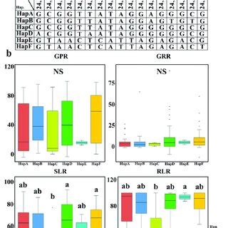 Haplotype analysis of a candidate gene: (a) Schematic representation of ...