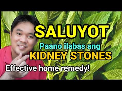 SALUYOT KIDNEY STONE TREATMENT: How To Flush Out Kidney Stone With SALUYOT - YouTube