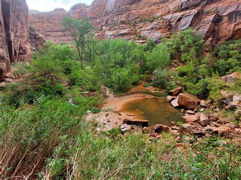 Moonflower Canyon: Moab, Utah