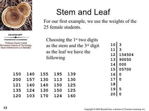 Stem and Leaf Plots - Everything Need to Know | EdrawMax