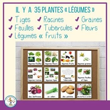 Vegetable - part of the plant to eat - French vocabulary by Madame Pascale