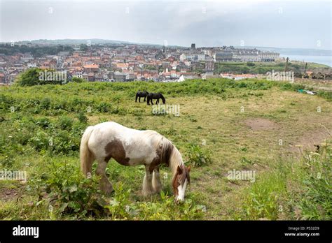 Whitby, England, Uk Stock Photo - Alamy