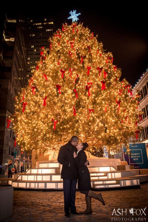 NYC South Street Seaport Christmas Tree Marriage Proposal - Ash Fox ...