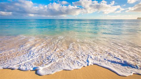 Photo Hawaii Ocean Nature Sand Waves Tropics Scenery Coast 2560x1440