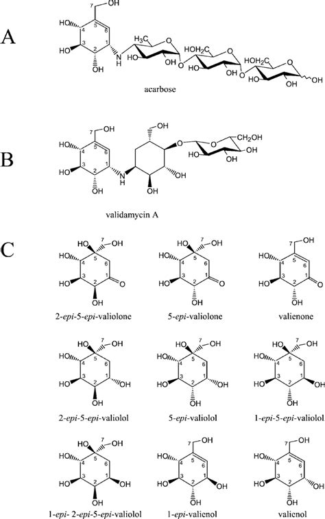 Chemical structures of two-glucosidase inhibitors containing C... | Download Scientific Diagram