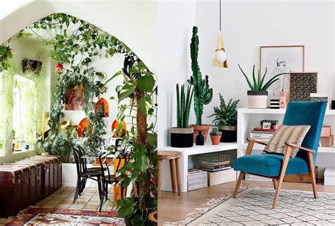 17 ideas para decorar tu sala de estar con plantas en esta primavera ...