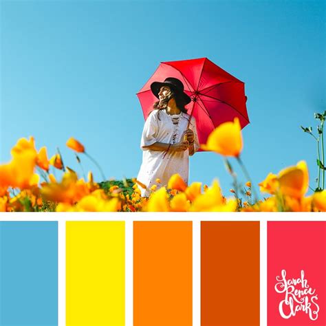 39 best colors for summer coloring - Free Coloring Pages