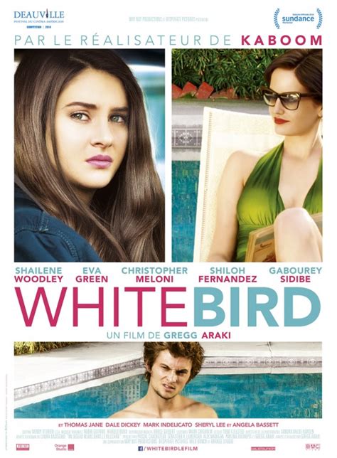 White Bird in a Blizzard Movie Poster (#2 of 4) - IMP Awards