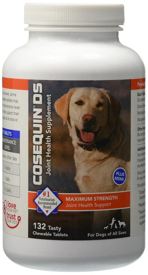 The Best Joint Supplements For Dogs 2018 [Read This Honest Review!]