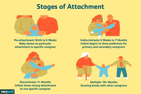 Bowlby, Ainsworth and Attachment Theory | Attachment theory, What is ...