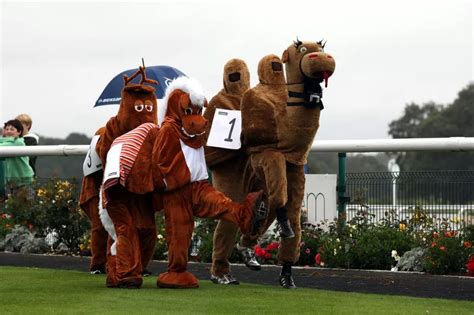 World record broken as pantomime animals line up at Newcastle ...