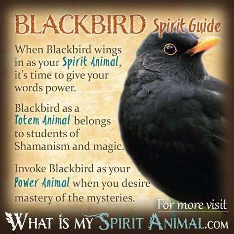 Blackbird Symbolism & Meaning | Blackbird Spirit, Totem & Power Animal ...