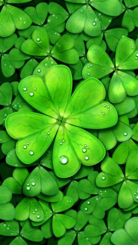 Four Leaf Clover Wallpapers - Top Free Four Leaf Clover Backgrounds - WallpaperAccess