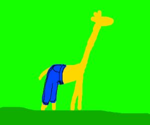 Giraffe wearing Pants - Drawception