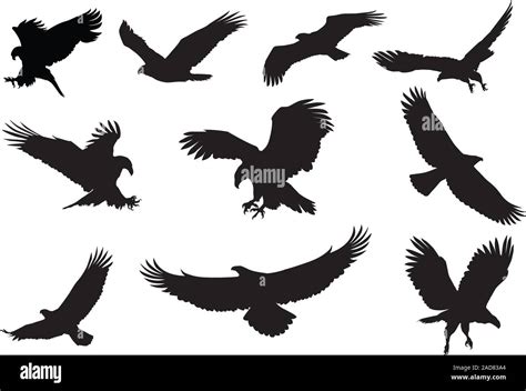 Soaring Eagle Silhouette Clip Art