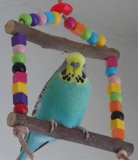 Budgie swing toy, safe bird cage toy for small and extra small birds