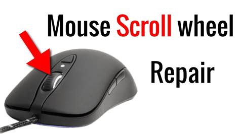 Why Is The Scroll Wheel Not Working On My Mouse