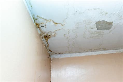 Ceiling Leak: Causes, Solutions, and Prevention - Intown Plumbing