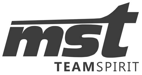 Teamspirit - MST-MASCHINENBAU Twistringen