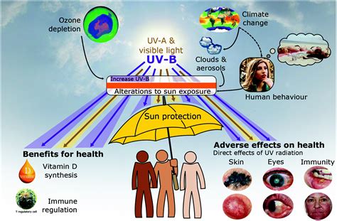 Uv Rays / Ultraviolet Radiation And Sunglasses How To Protect Your Eyes : Hot promotions in uv ...