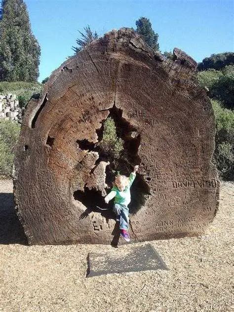 Bay Area Discovery Museum, Sausalito, CA - California Beaches